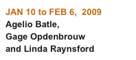 JAN 10 to FEB 6,  2009
Agelio Batle, 
Gage Opdenbrouw 
and Linda Raynsford